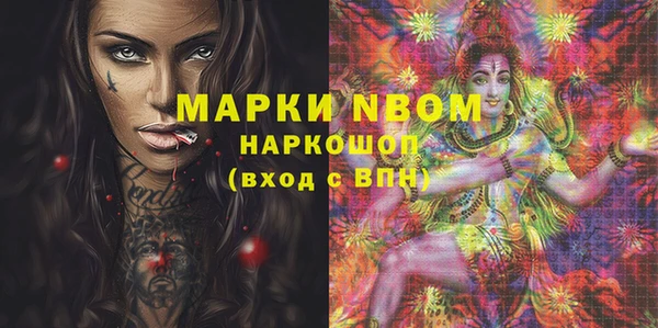 СК Новозыбков