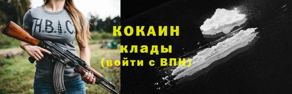 не бодяженный Новодвинск