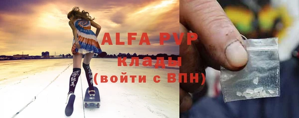 СК Новозыбков