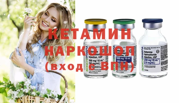 молекула духа Вяземский