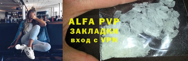 СК Новозыбков