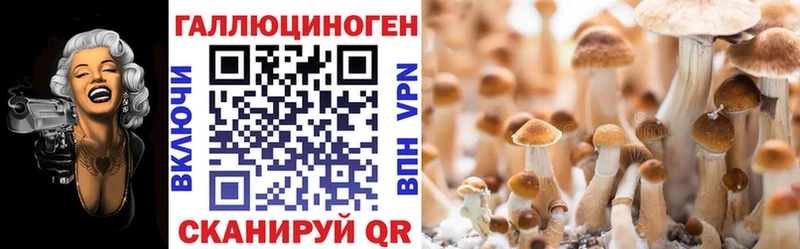 Галлюциногенные грибы Psilocybine cubensis Облучье